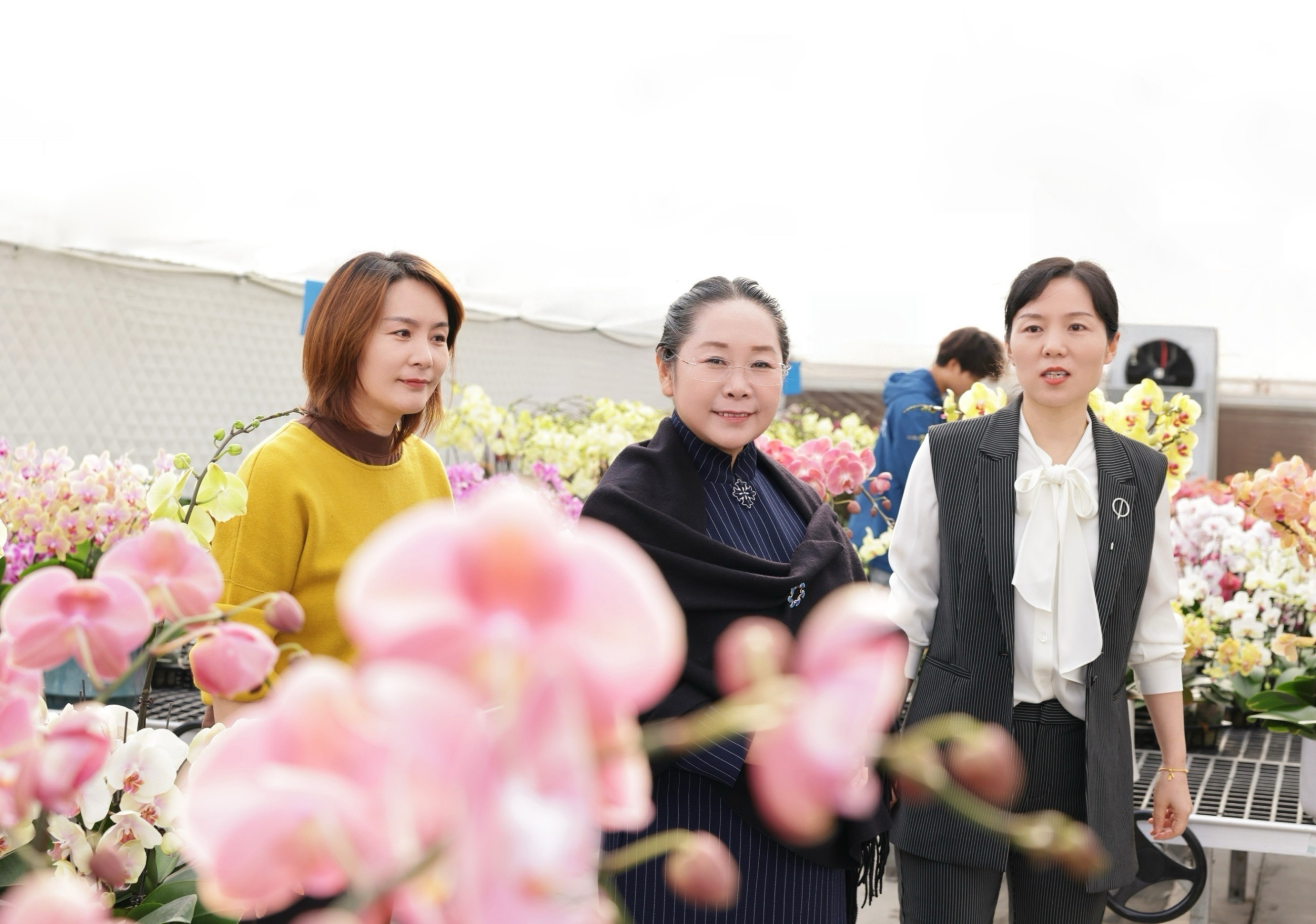 图片关键词