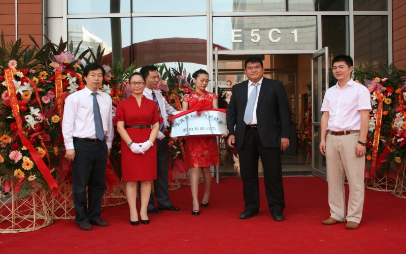 2010年，战略转型，开启多元化发展