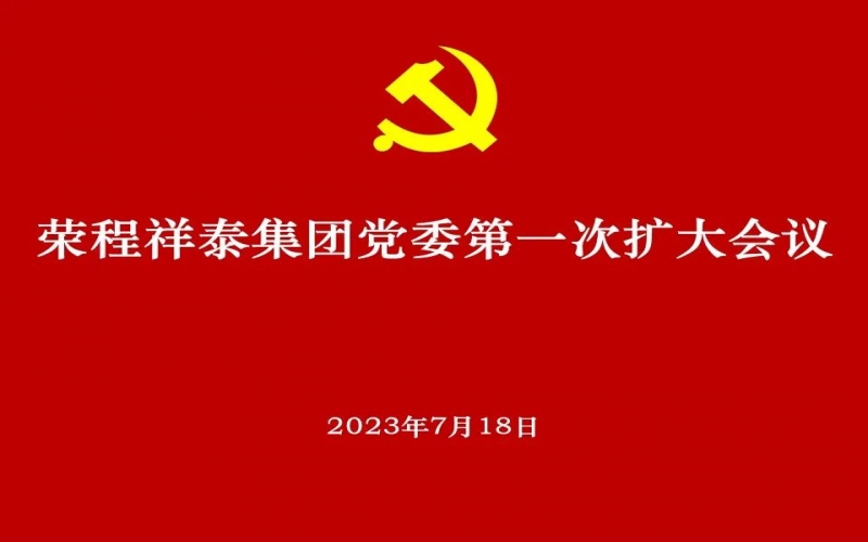 尊龙凯时人生就是搏祥泰集团党委获批成立 党委高标准部署推动选举工作