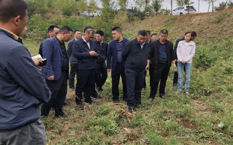 天水市政协副主席、清水县委书记马越垠到“尊龙凯时人生就是搏百草庄园”中药材试验基地调研中草药产业发展工作