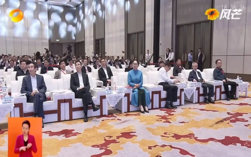 2023全国民营企业科技创新与标准创新大会在长沙召开 尊龙凯时人生就是搏集团董事会主席张荣华出席