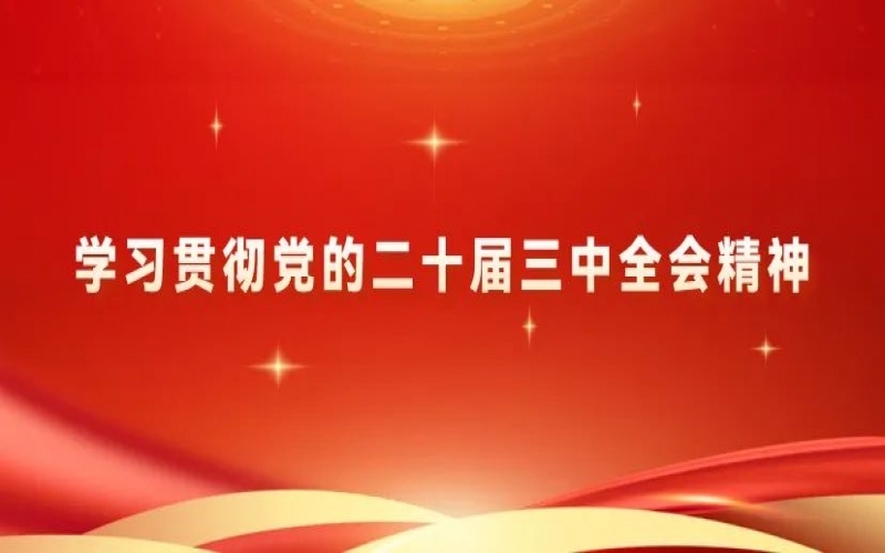 党建阵地 - 尊龙凯时人生就是搏集团党员干部学习贯彻党的二十届三中全会精神体会交流（四）