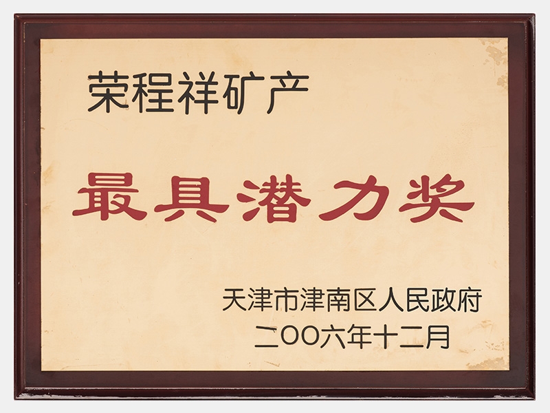 2006年-天津尊龙凯时人生就是搏