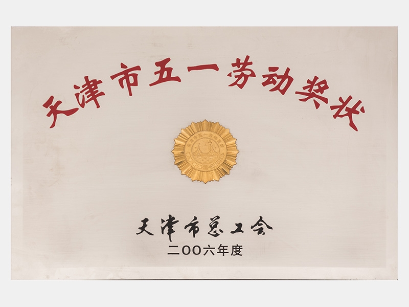 2006年-天津尊龙凯时人生就是搏