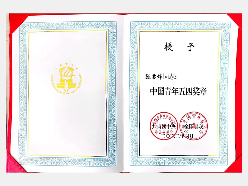 2022年-天津尊龙凯时人生就是搏-第2页