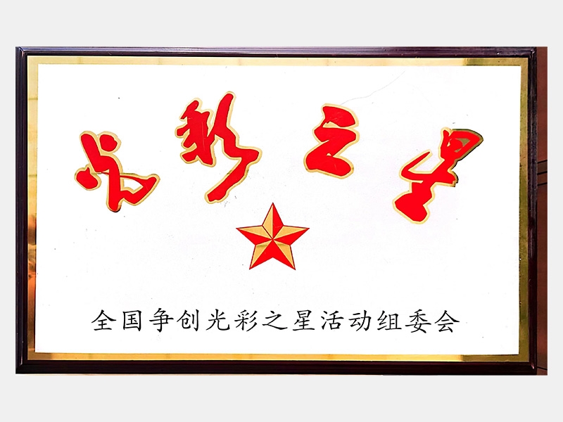 2022年-天津尊龙凯时人生就是搏-第5页