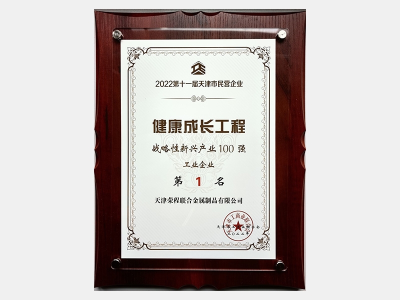 2022年-天津尊龙凯时人生就是搏-第7页
