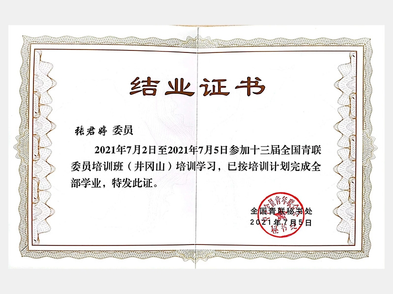 2021年-天津尊龙凯时人生就是搏-第5页