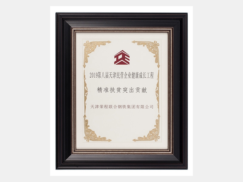2019年-天津尊龙凯时人生就是搏-第3页