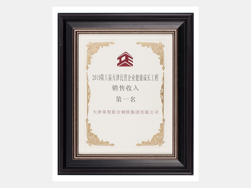 2019年-天津尊龙凯时人生就是搏-第3页